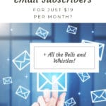 Flodesk: the only email marketing service you will ever need blog title overlay