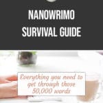 NaNoWriMo Survival Guide blog title overlay